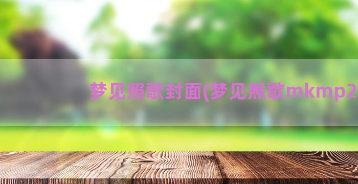 梦见照歌封面(梦见照歌mkmp270)