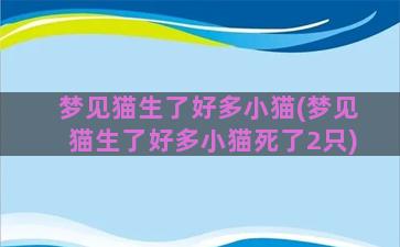 梦见猫生了好多小猫(梦见猫生了好多小猫死了2只)