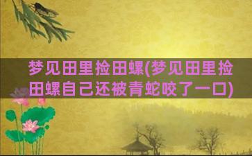 梦见田里捡田螺(梦见田里捡田螺自己还被青蛇咬了一口)