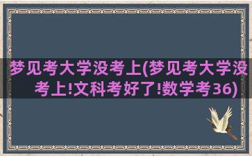 梦见考大学没考上(梦见考大学没考上!文科考好了!数学考36)