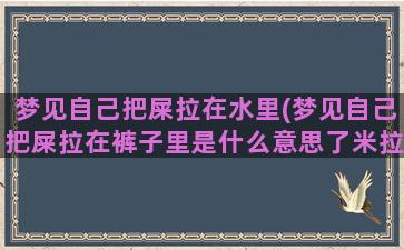 梦见自己把屎拉在水里(梦见自己把屎拉在裤子里是什么意思了米拉在裤子里)