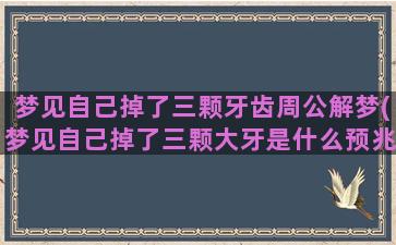 梦见自己掉了三颗牙齿周公解梦(梦见自己掉了三颗大牙是什么预兆)