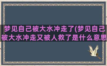 梦见自己被大水冲走了(梦见自己被大水冲走又被人救了是什么意思)