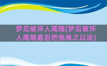 梦见被坏人尾随(梦见被坏人尾随最后把他绳之以法)