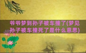 爷爷梦到孙子被车撞了(梦见孙子被车撞死了是什么意思)