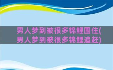 男人梦到被很多锦鲤围住(男人梦到被很多锦鲤追赶)