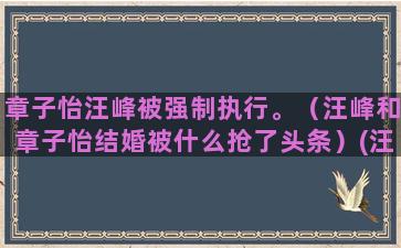 章子怡汪峰被强制执行。（汪峰和章子怡结婚被什么抢了头条）(汪峰为章子怡写的一首歌)