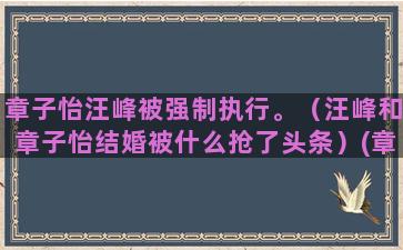 章子怡汪峰被强制执行。（汪峰和章子怡结婚被什么抢了头条）(章子怡汪峰有多少钱)